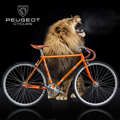 TOP - MOBILE PEUGEOT CYCLES